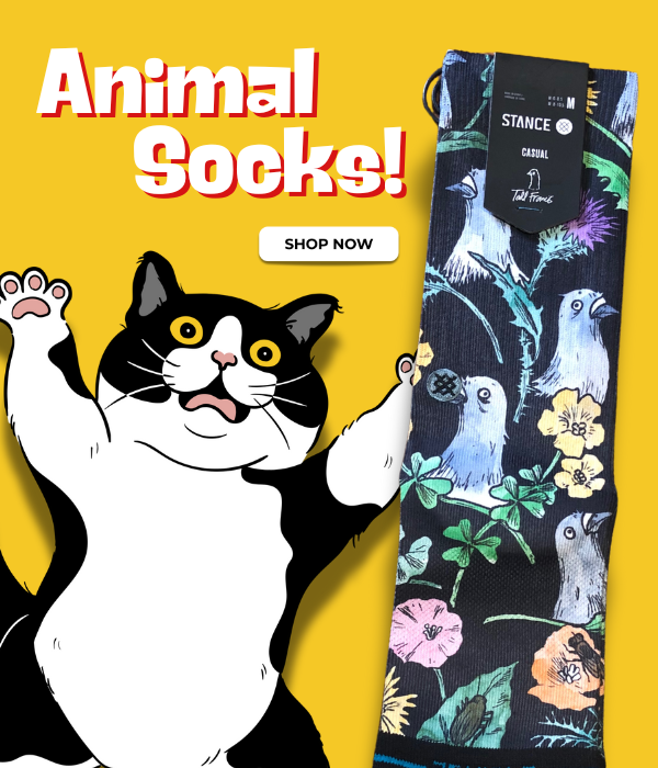 Animal socks mp