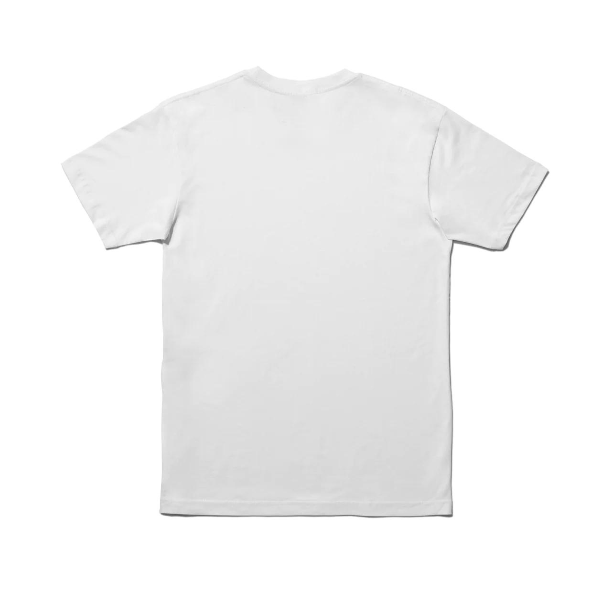 Beastie Boys x Stance Great Outdoors T-Shirt