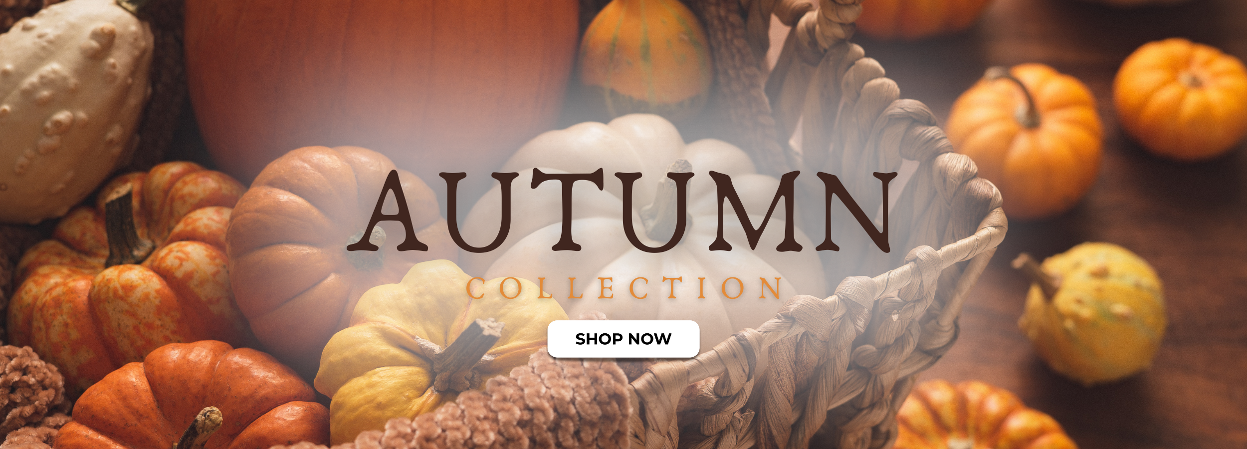 Autumn collection 2