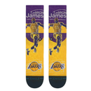 NBA: LA Lakers Pasted Lebron-1
