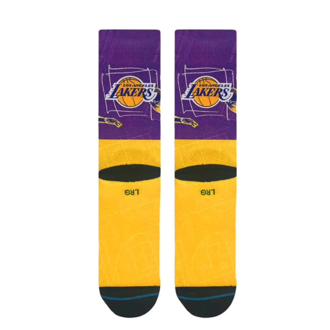 NBA: LA Lakers Pasted Lebron - 0