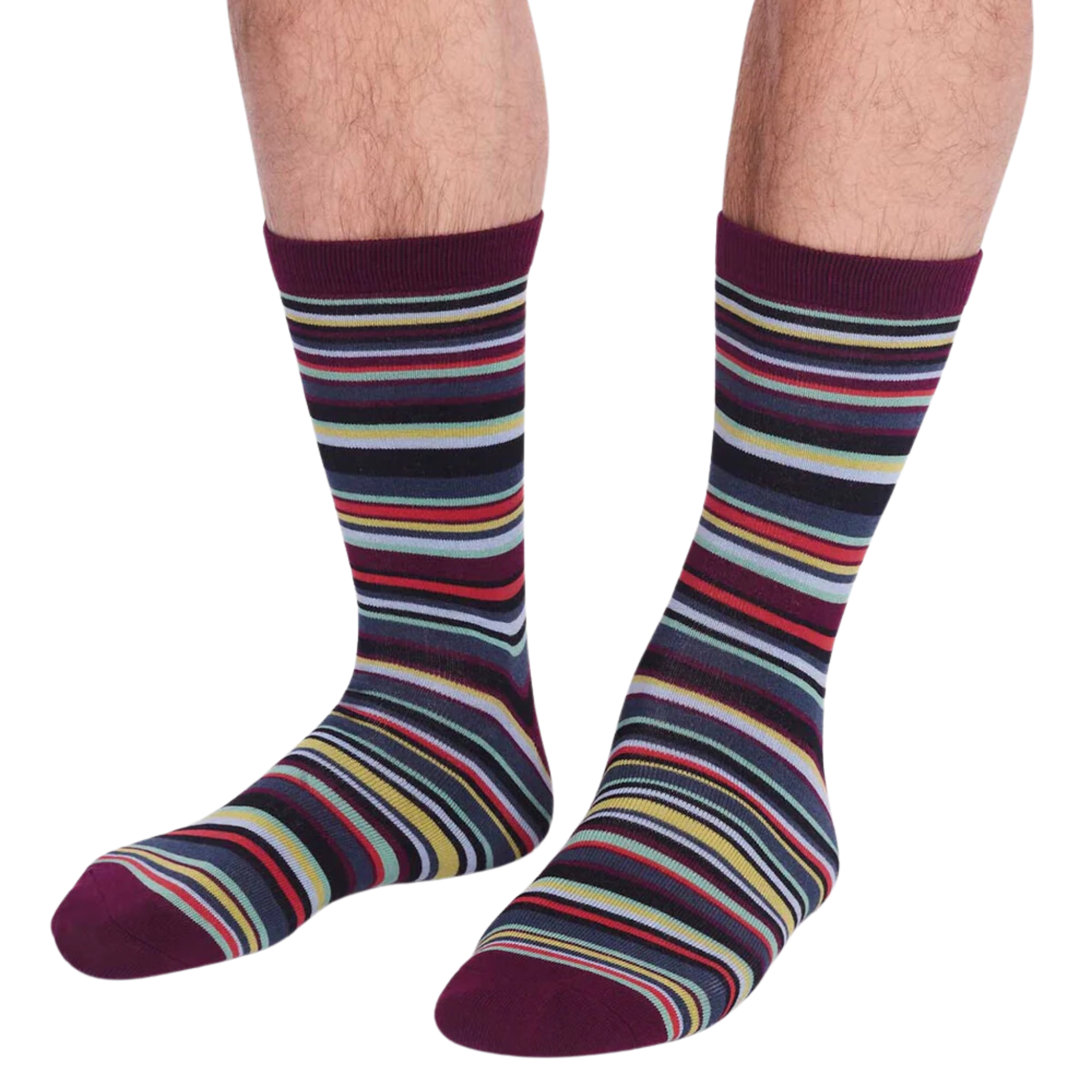 Buy plum-purple Matias Stripe Sock (Men&#39;s)