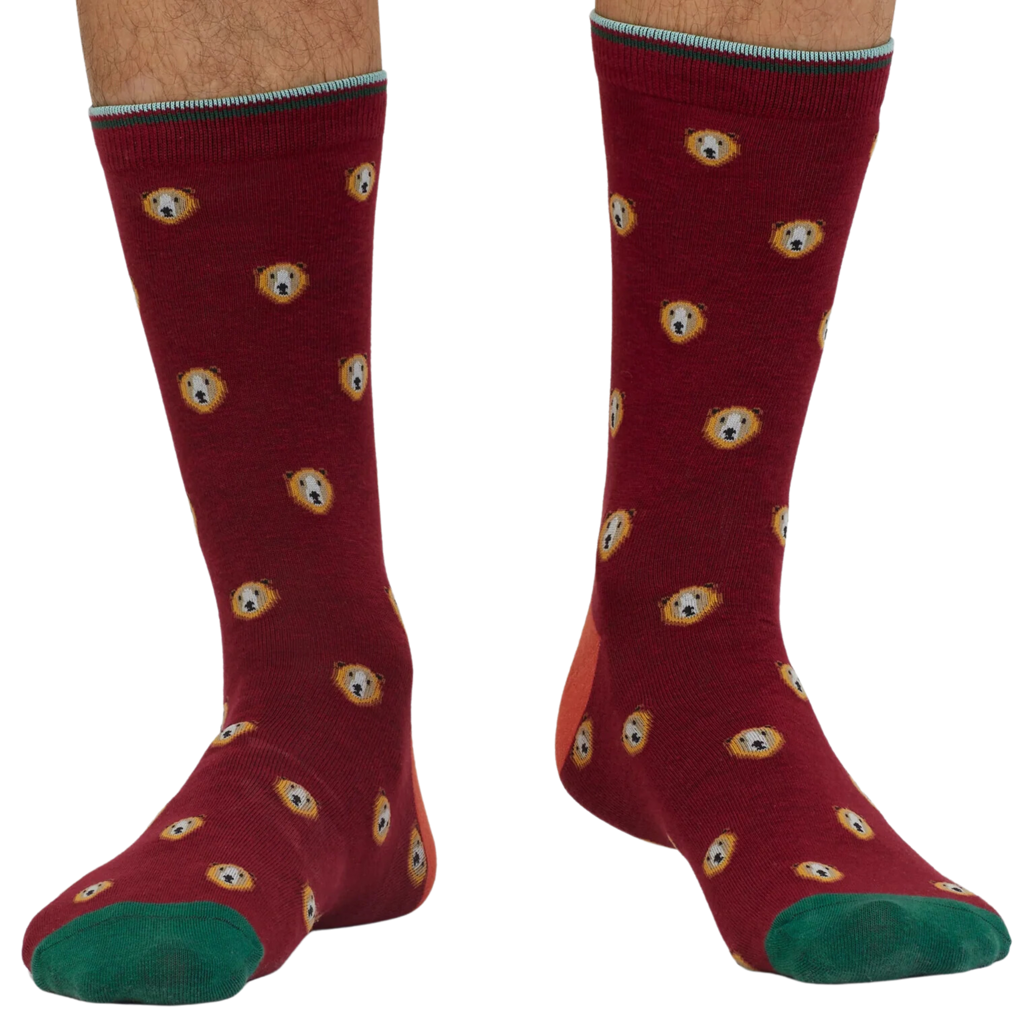 Axel Bear Socks (Men's)