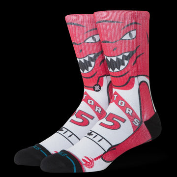 NBA Toronto Mascot