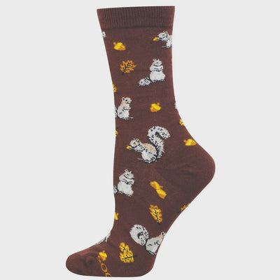 Squirrels in the Forest