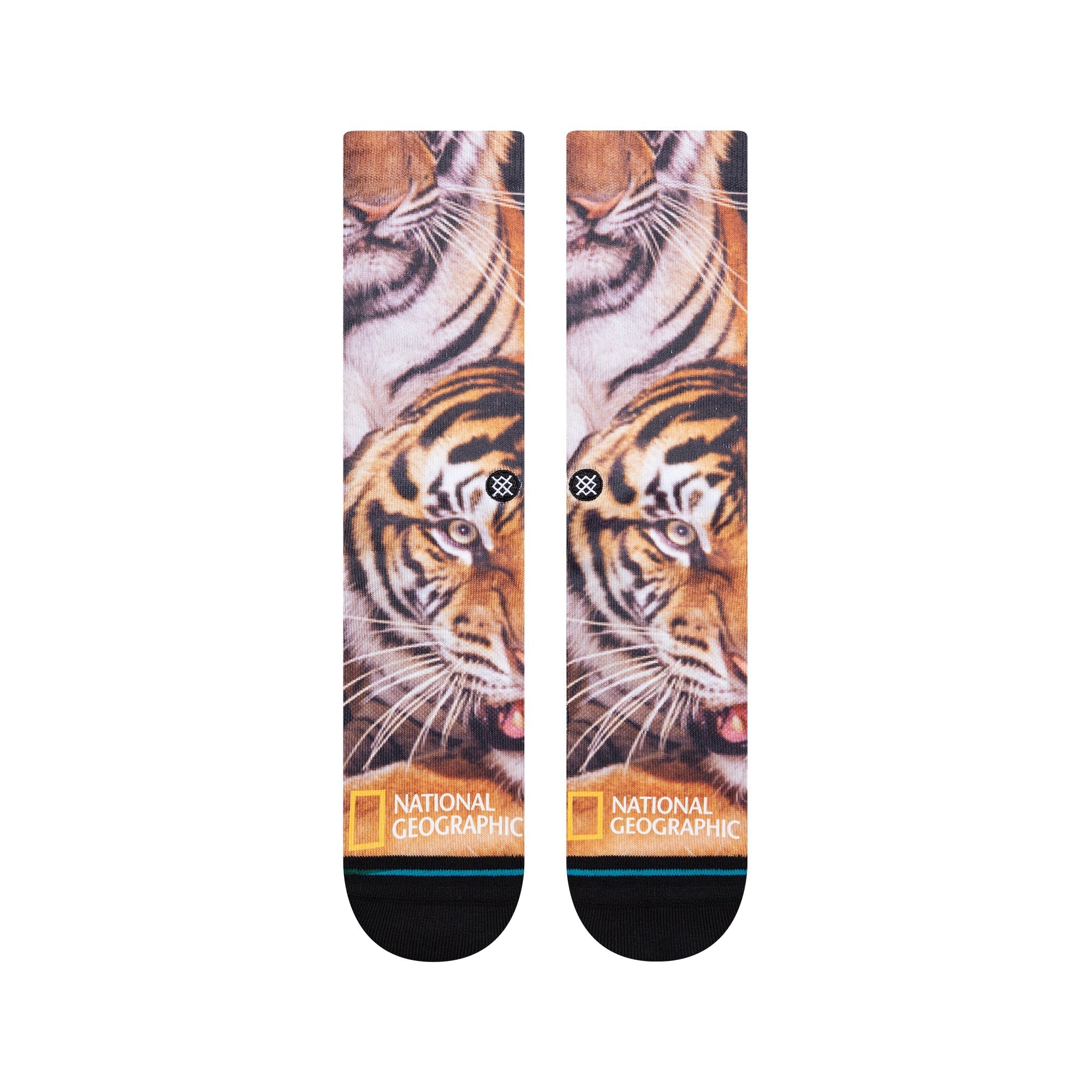National Geographic - Two Tigers