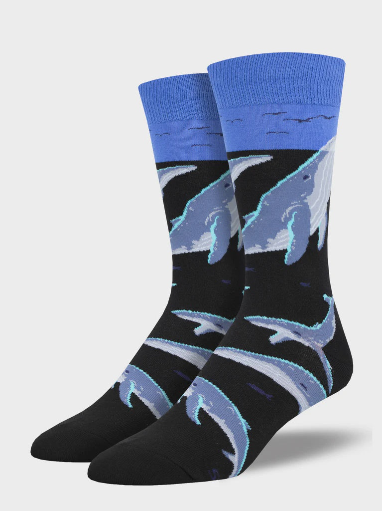 Whale Watching (Men's)