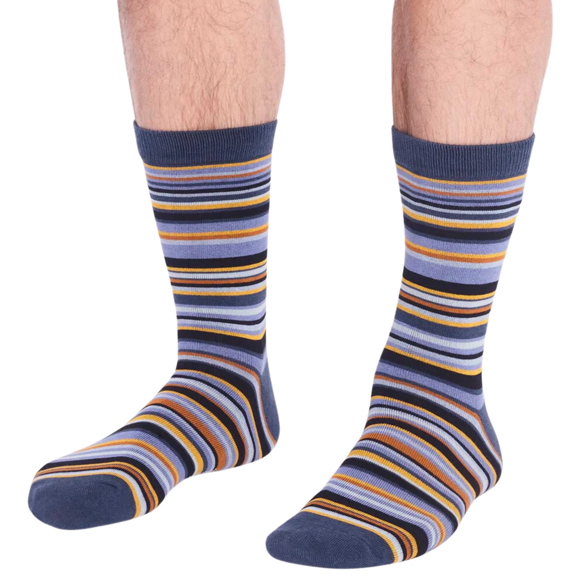 Matias Stripe Sock (Men's)