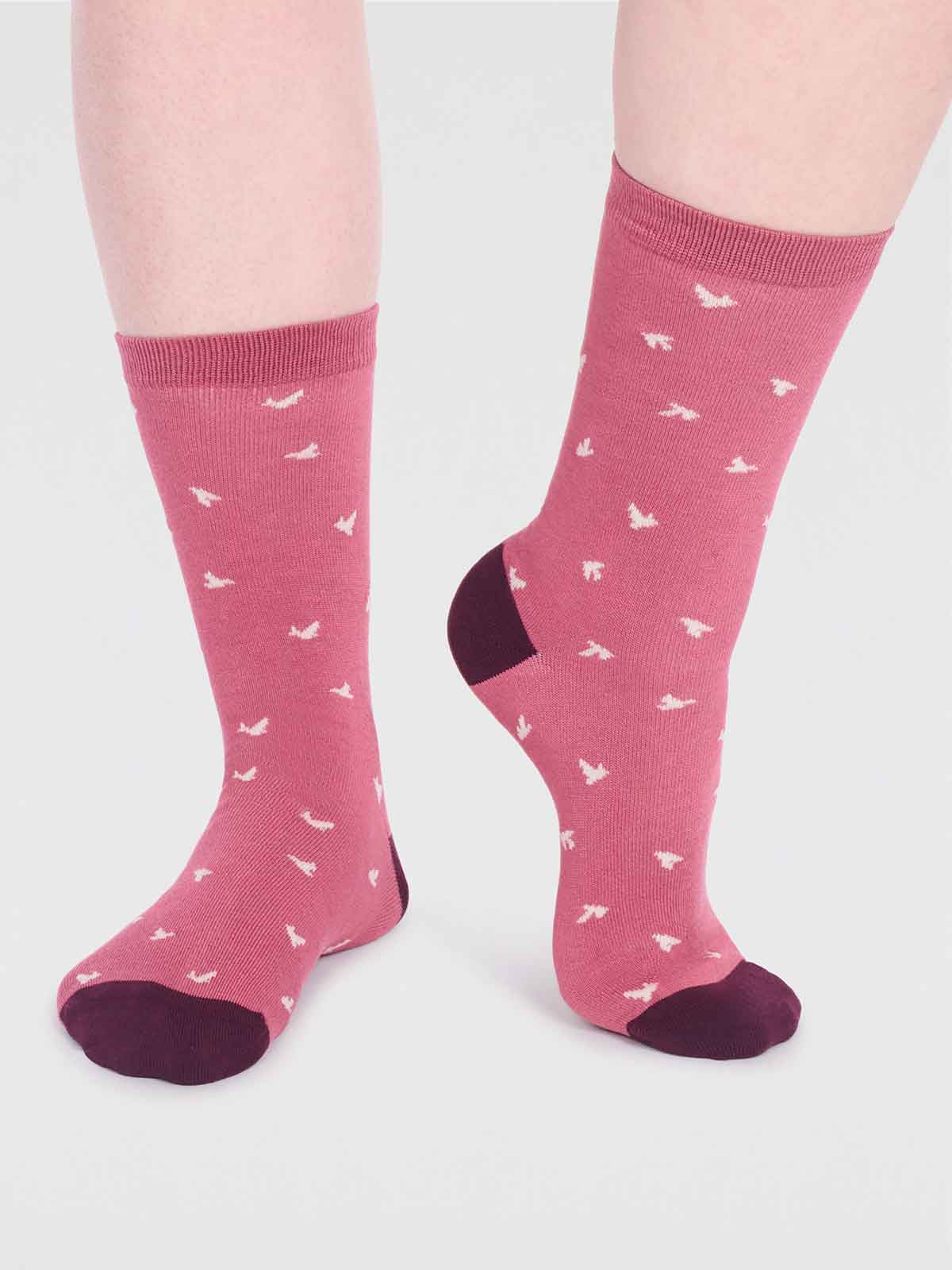 Women's Wren Bird - Dusty Rose