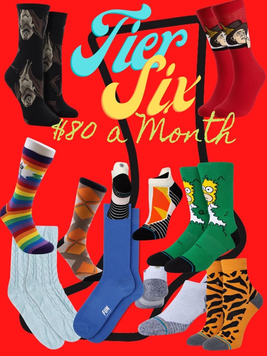 Sock of the Month-6