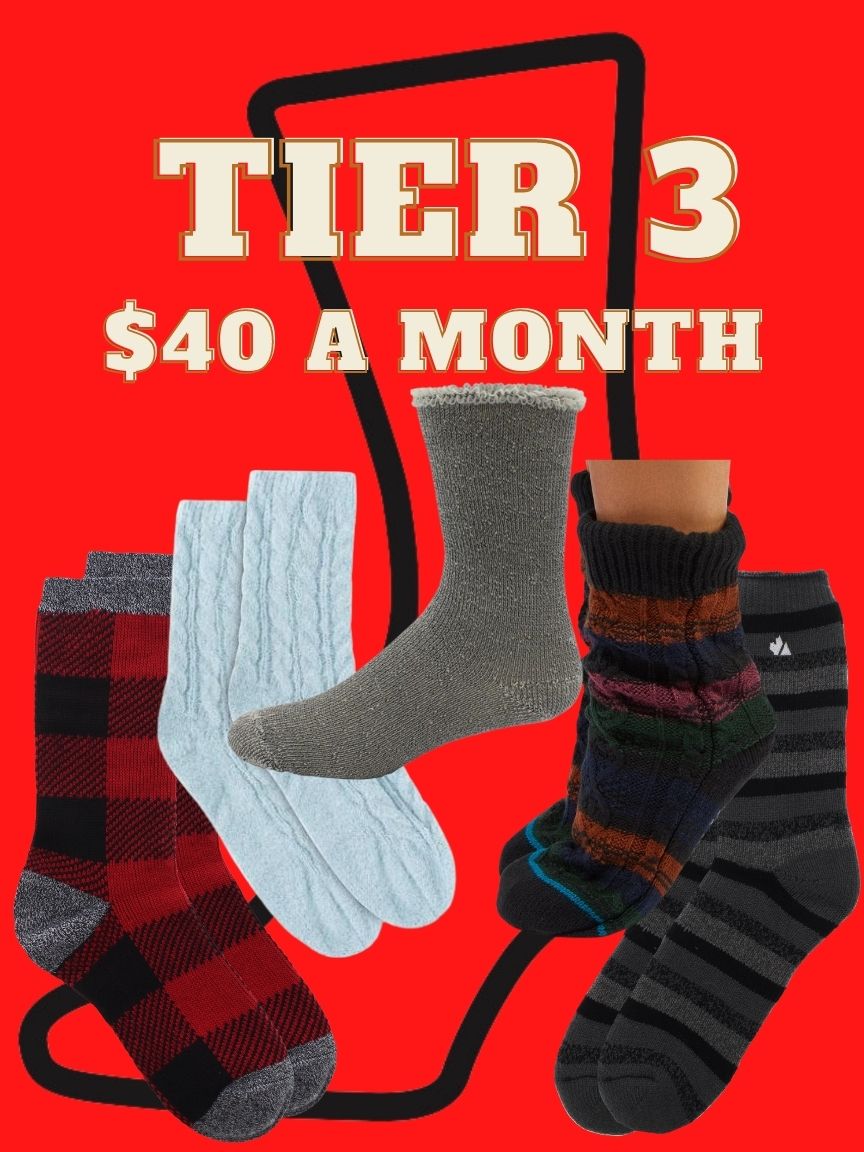 Sock of the Month-3